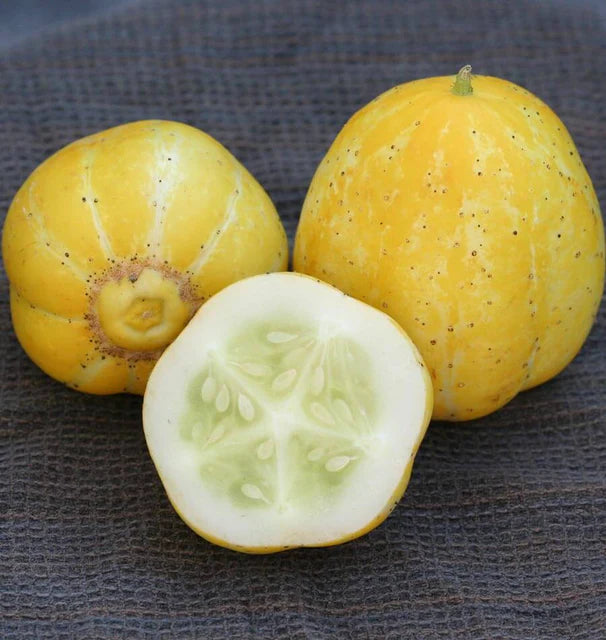 West Coast Seeds (Lemon Cucumber Cucumber)