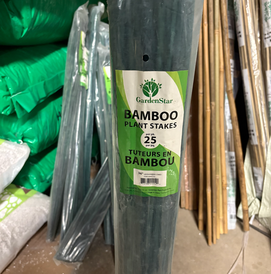 GardenStar Green Bamboo Stakes 36" (Oversized)