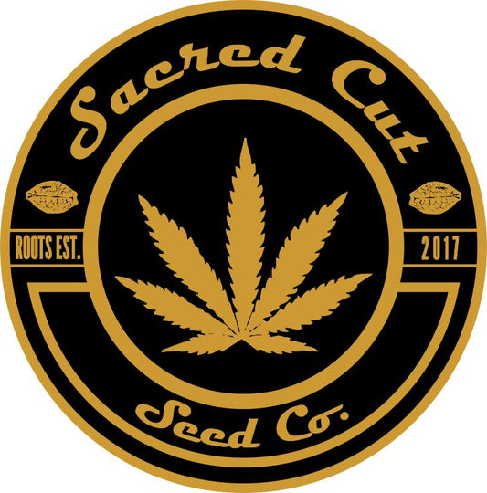 Croix sacrées / Cherry Pie Kush Breath (REG)