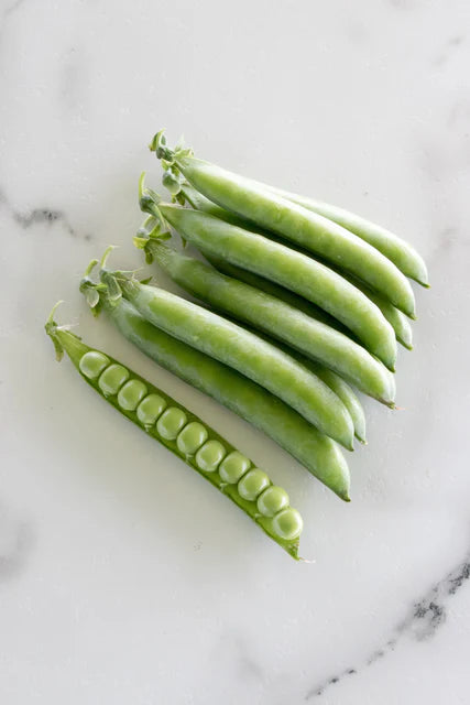 West Coast Seeds (PLS 595 Organic Peas)