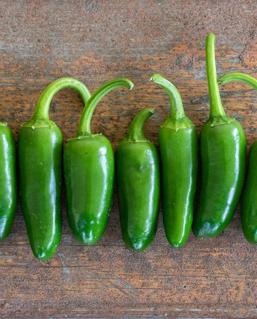 West Coast Seeds (Jalapeño M Peppers)