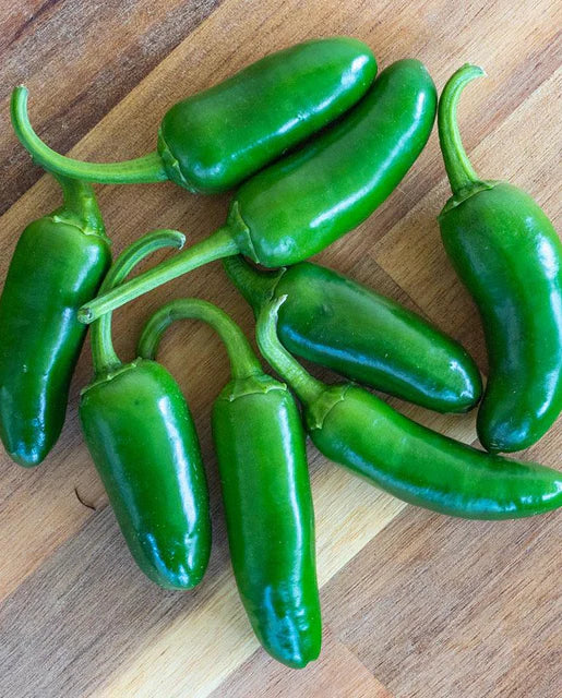 West Coast Seeds (Jalapeño M Peppers)