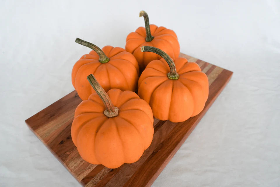 West Coast Seeds (Orangita F1 Pumpkin)