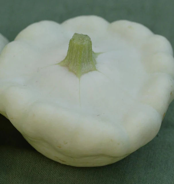 West Coast Seeds (Benning's Green Tint Squash)