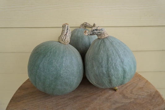 West Coast Seeds (Baby Blue Organic Squash)