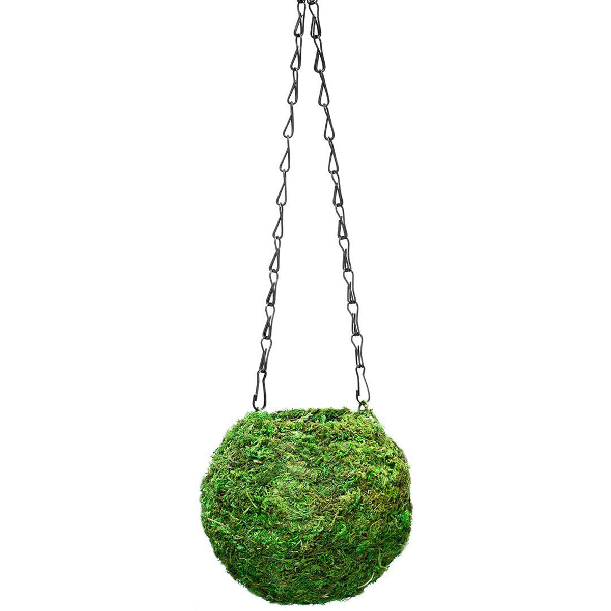 SuperMoss Kokedama Kit (6")