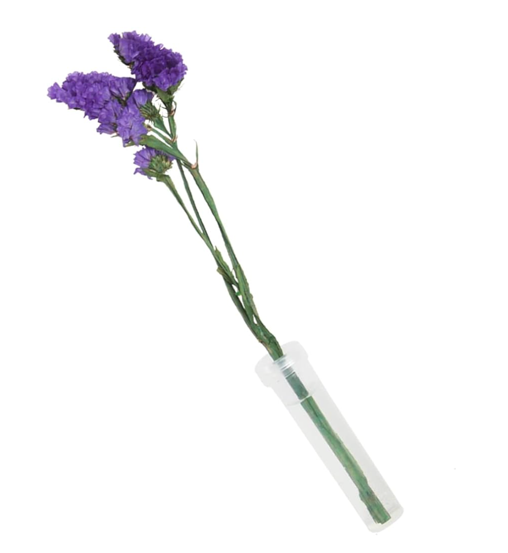 Transparent Plastic Plant Tube (0.5 x 2.7")