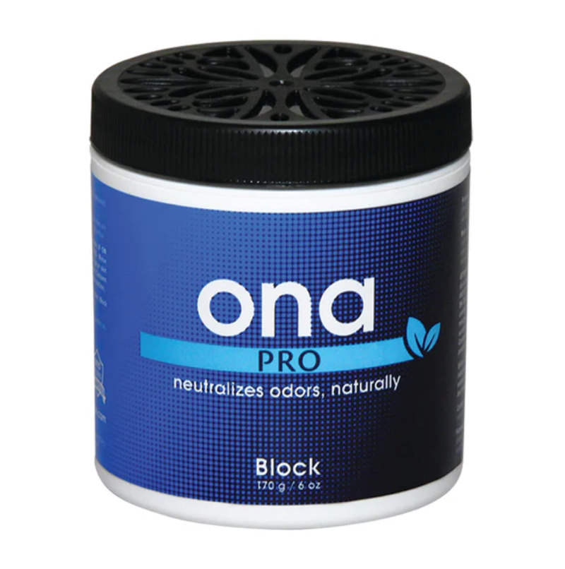 Ona Blocks (170g / 6 Oz)