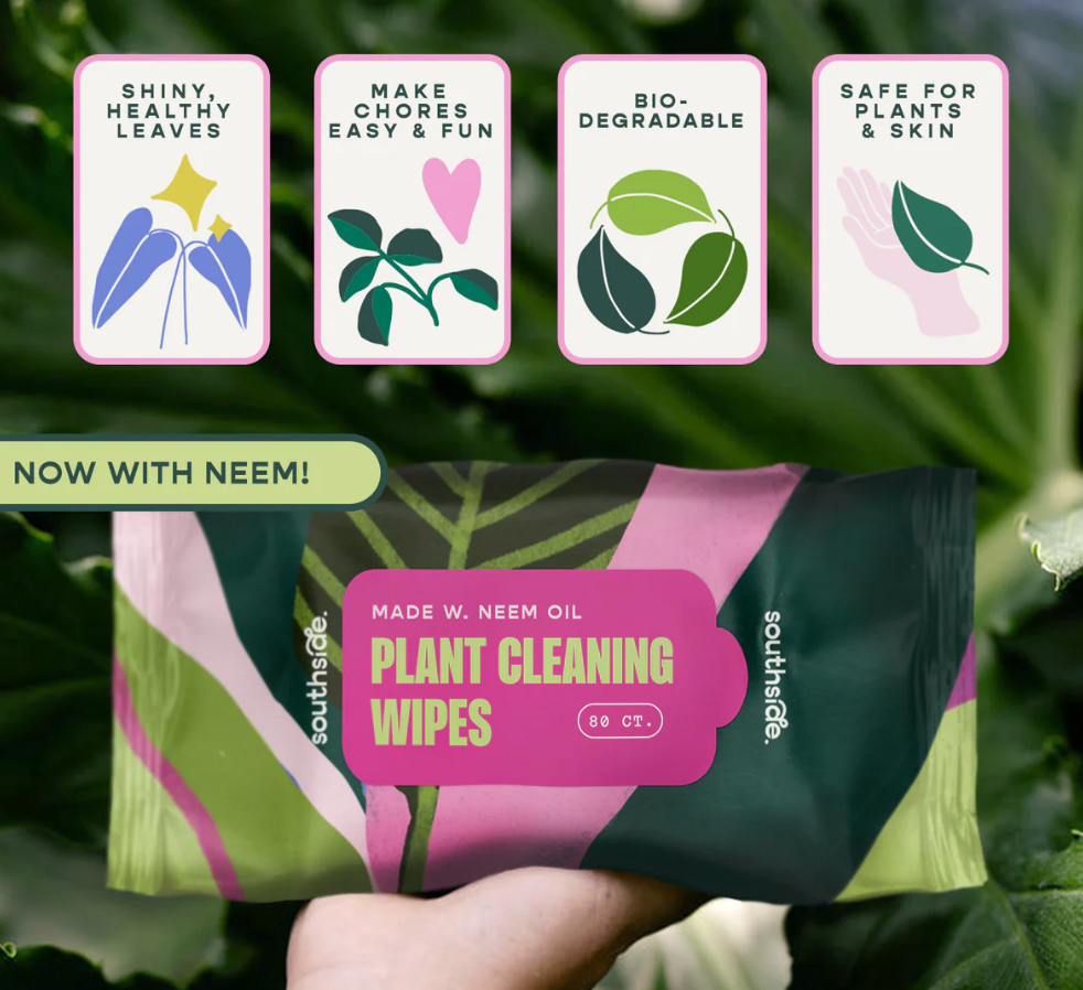 Houseplant Dusting Wipes (80 Sheets)