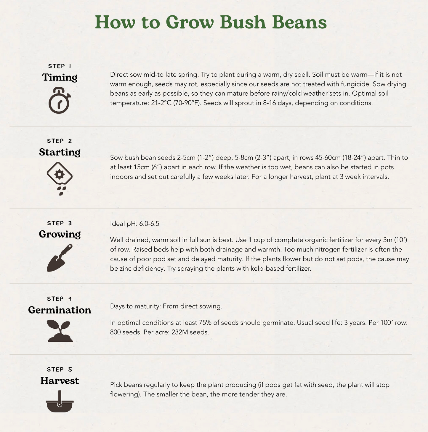 West Coast Seeds (Maxibel Organic Bean)