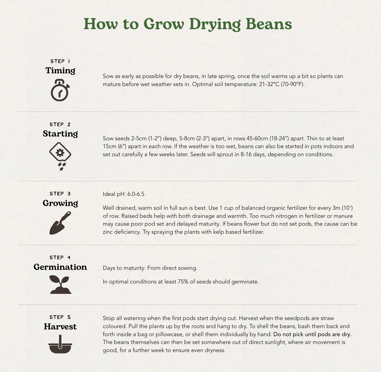 West Coast Seeds (Jacob's Cattle Bean Organic)