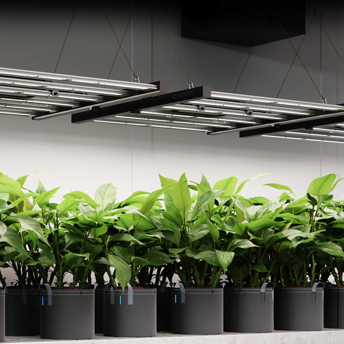 AC Infinity IONFRAME Commercial LED Grow Lights
