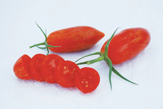 West Coast Seeds (Prairie Fire Organic Tomato)