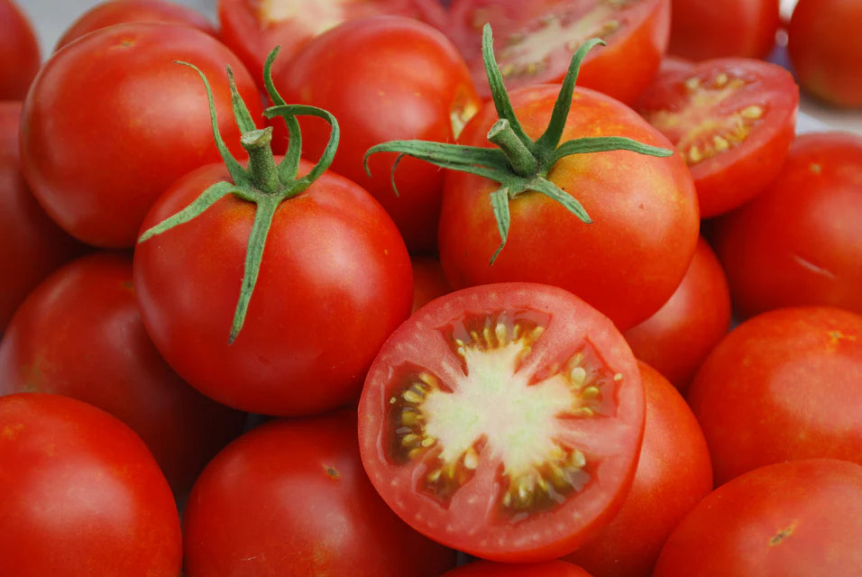 West Coast Seeds (Glacier Organic Tomato)