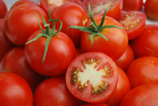 West Coast Seeds (Glacier Organic Tomato)