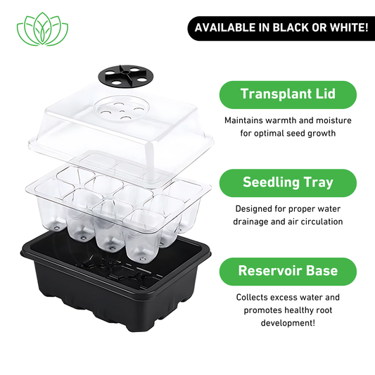 Seed Starter Tray Kit (5.7" x 7.2")