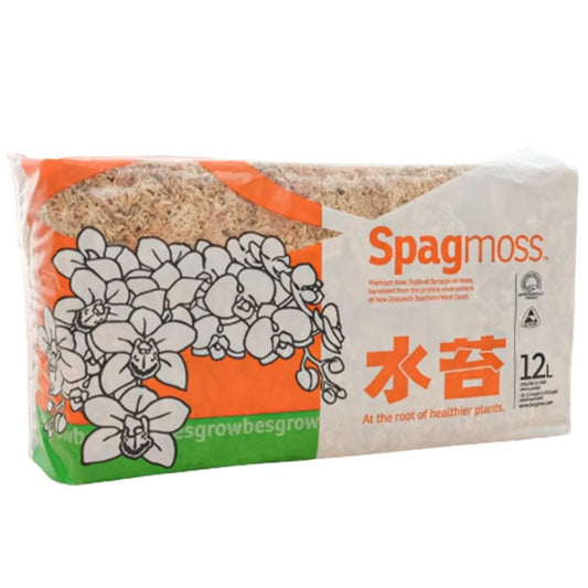 Besgrow Spagmoss (Premium Sphagnum Moss)