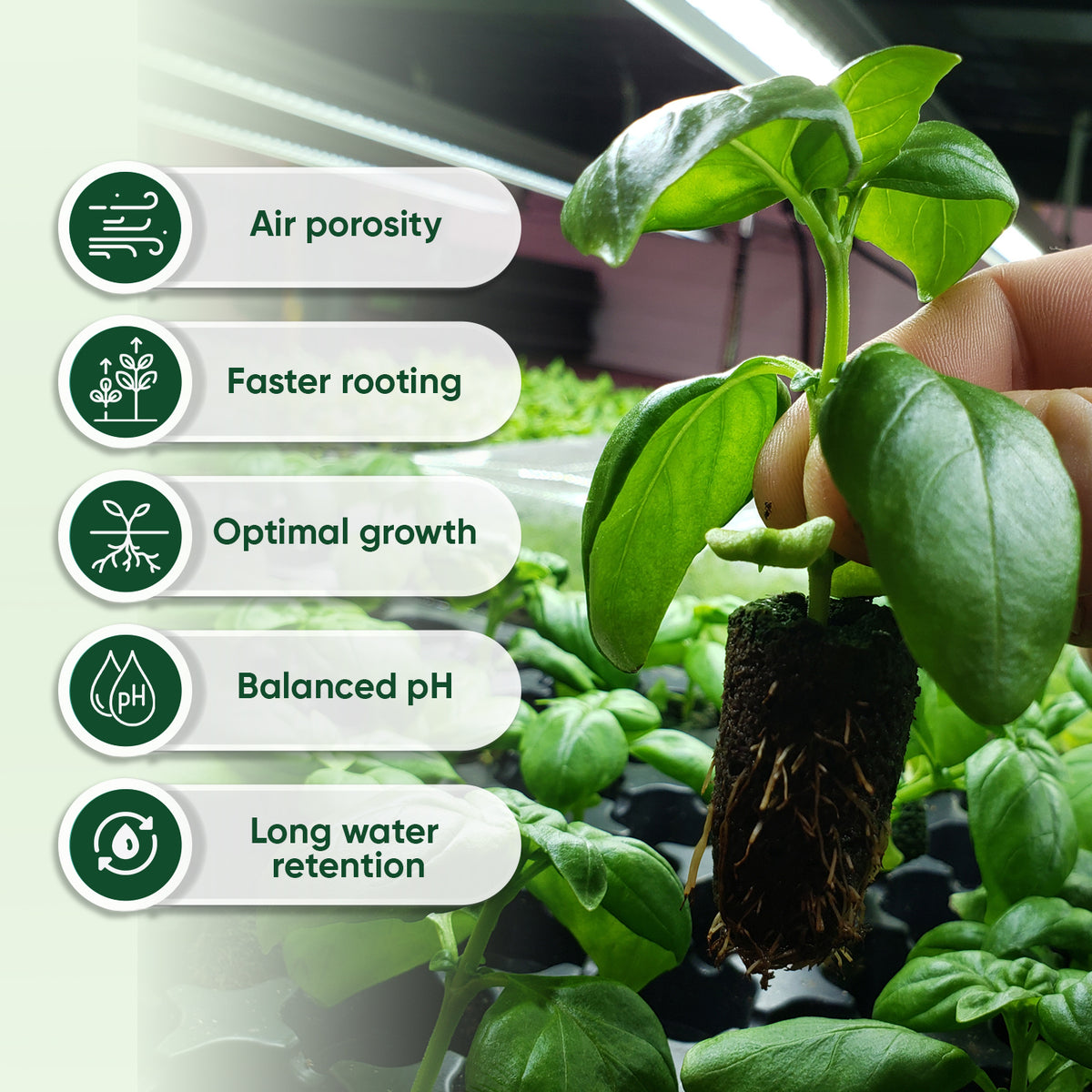 BioPlug Germination Rooter Cubes | Urban Grow Garden Supply