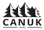 Canuk Seeds Purpura Uno CBD / REG (10 Pk) (CLEARANCE  70% OFF)