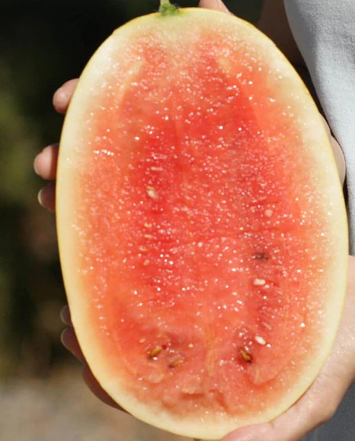 West Coast Seeds (Diana F1 Melons)