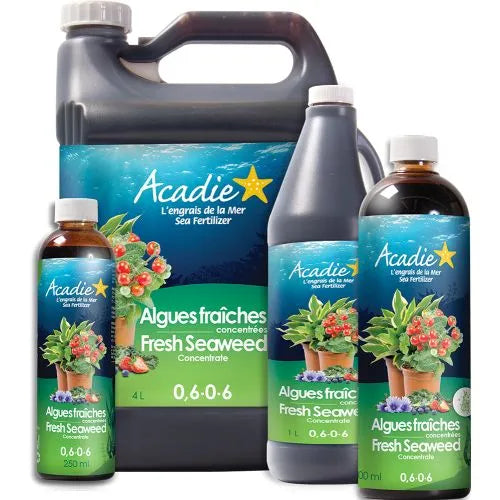 ACADIE Fresh Seaweed Concentrate (0.6-0-6)