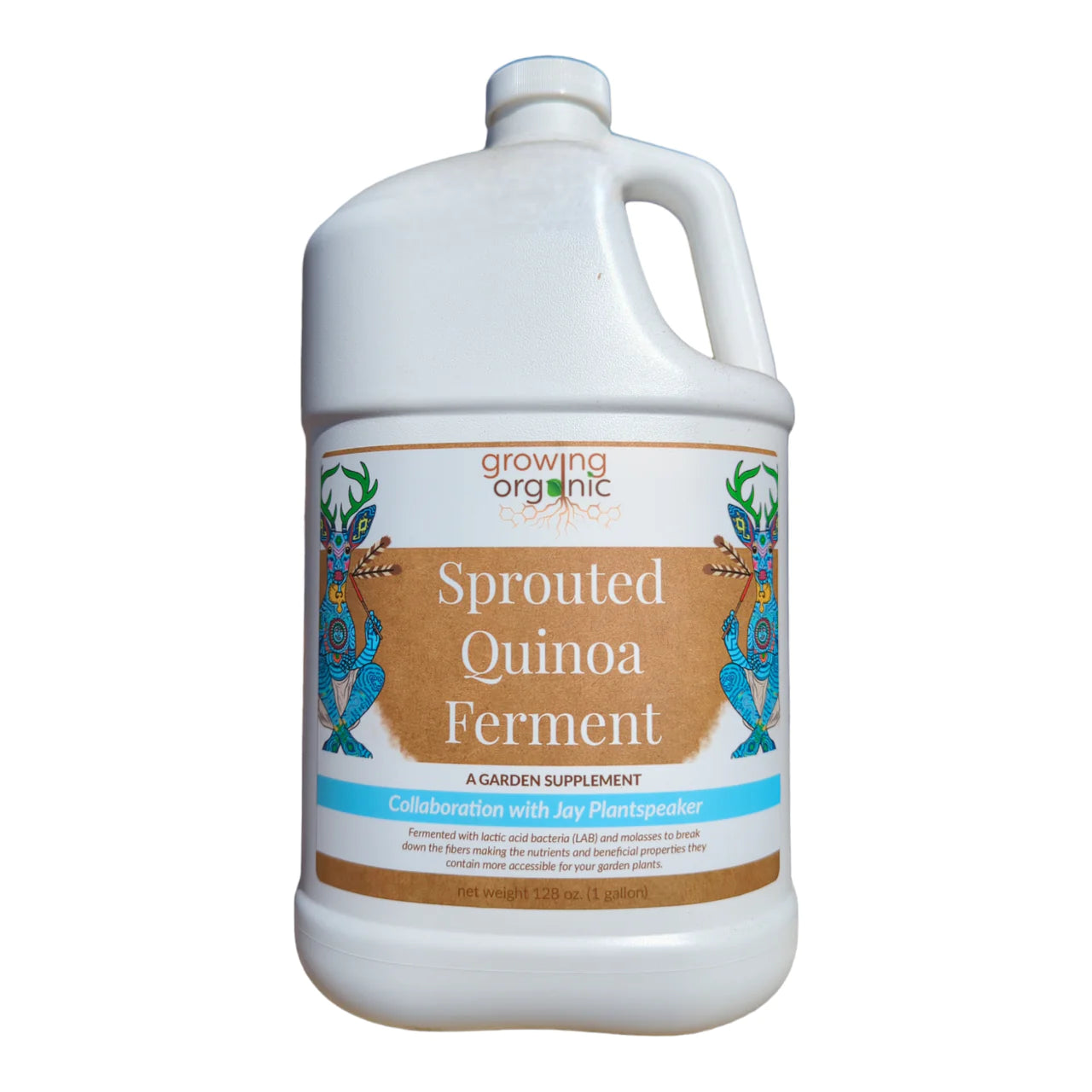 Growing Organic Sprouted Quinoa Ferment (Garden Supplement)