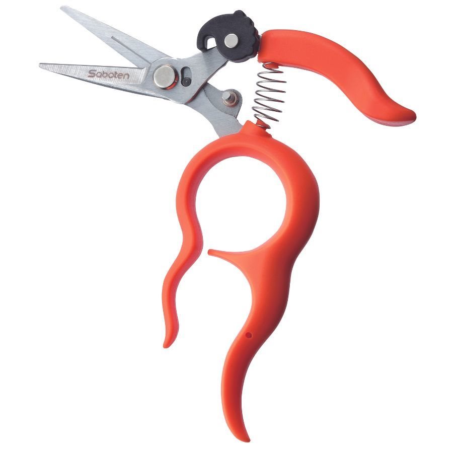 Saboten Scissors Professional Trimming PT-1 STRAIGHT ORANGE (Case