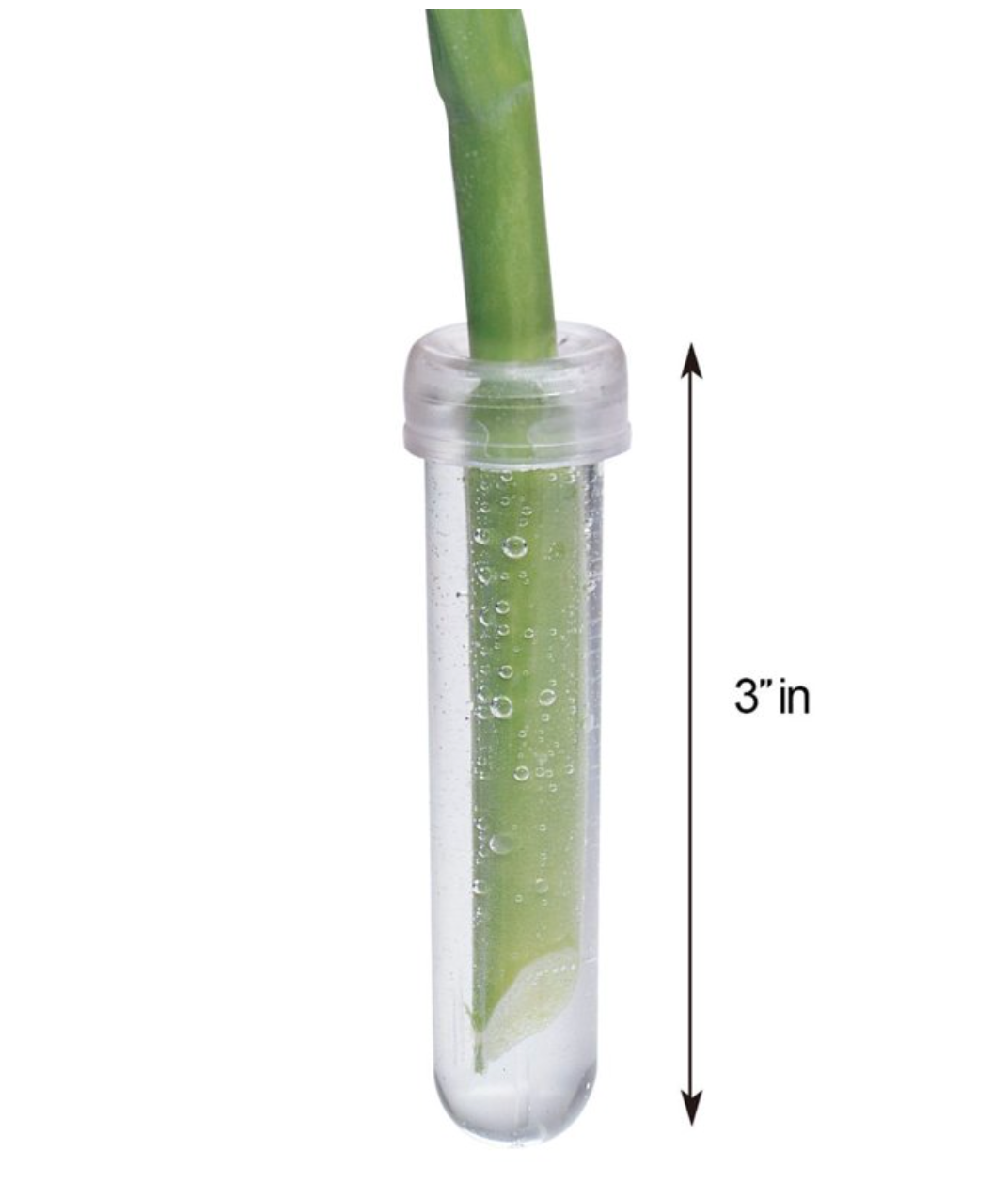 Transparent Plastic Plant Tube (0.5 x 2.7")