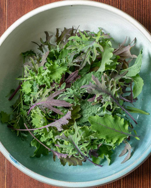 Graines de la côte ouest (Kale Storm en granulés)