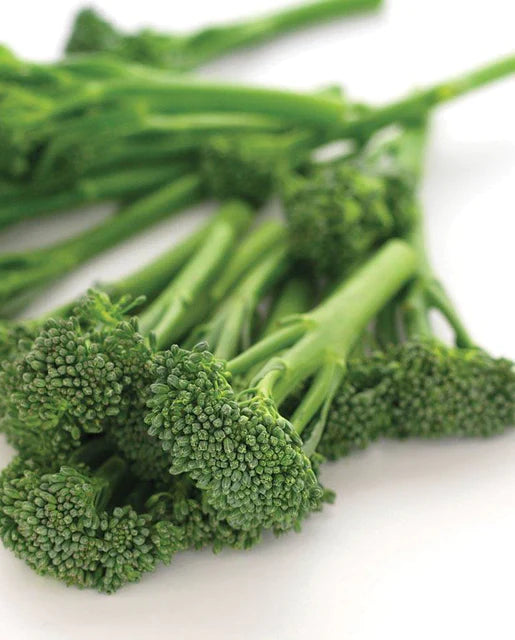 Graines de la côte ouest (graines d'Aspabroc Broccolini)