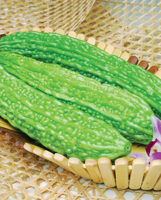 West Coast Seeds (Jade Dragon Melon) (Bitter Melon)