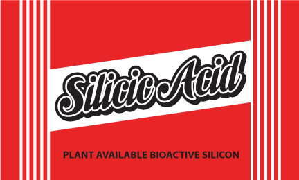 Elite 91 Silicic Acid