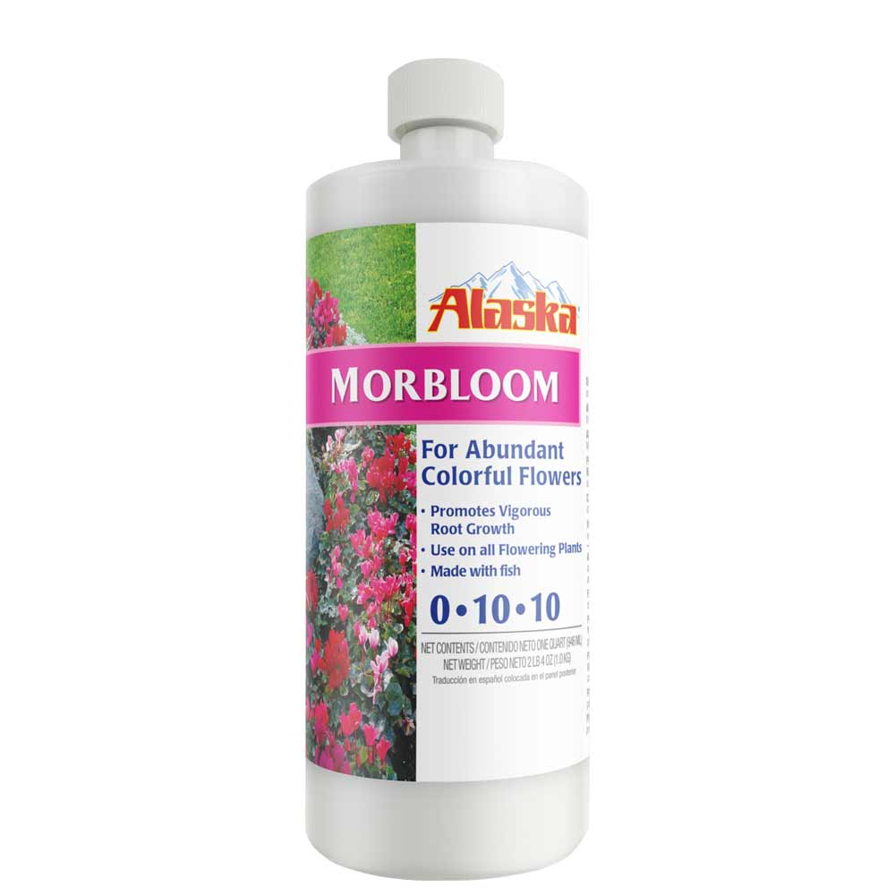 alaska morbloom for abundant colorful flowers