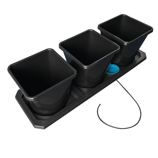 Auto3 XL (Special Order)