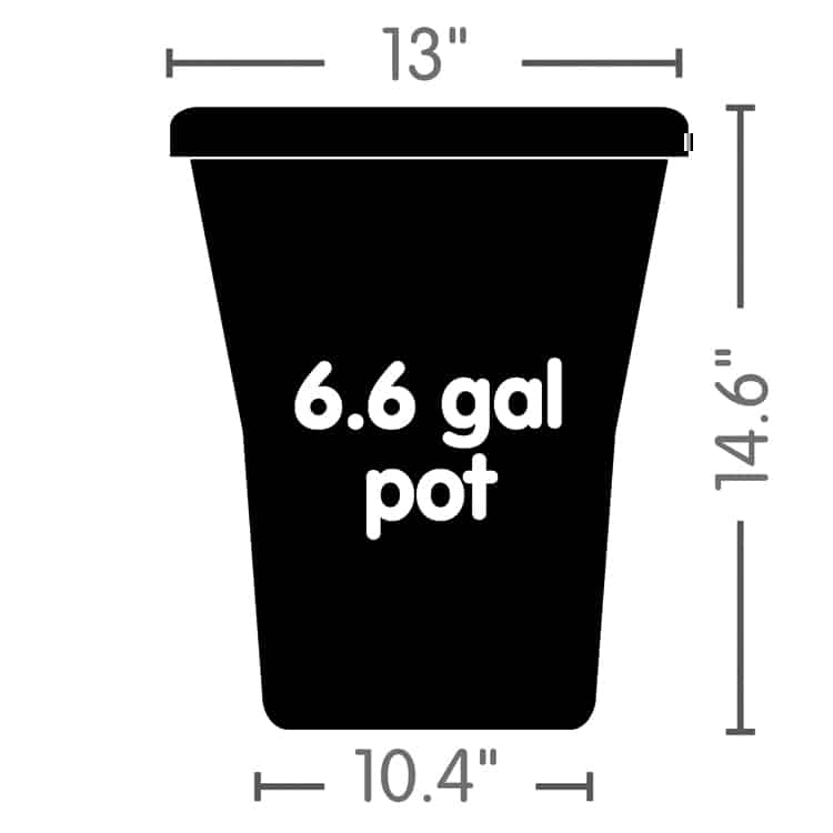 Auto3 XL (Special Order)