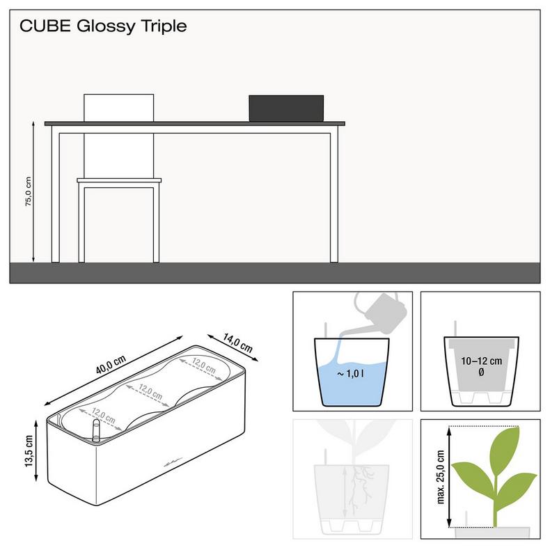 Lechuza Cube Glossy Triple