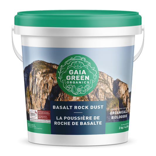 Poussière de roche de basalte vert Gaia