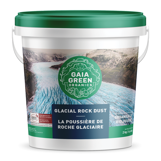 Poussière de roche glaciaire verte Gaia