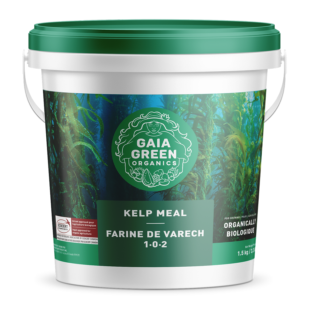 Gaia Green Kelp Meal (1-0-2)