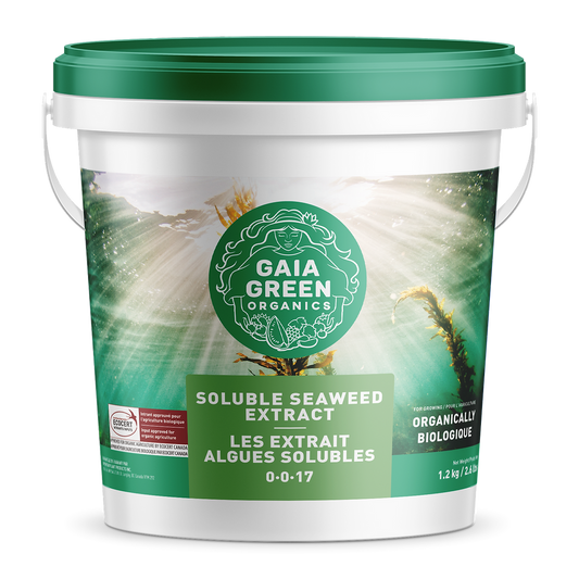 Extrait d'algue verte soluble Gaia (1-1-17) 