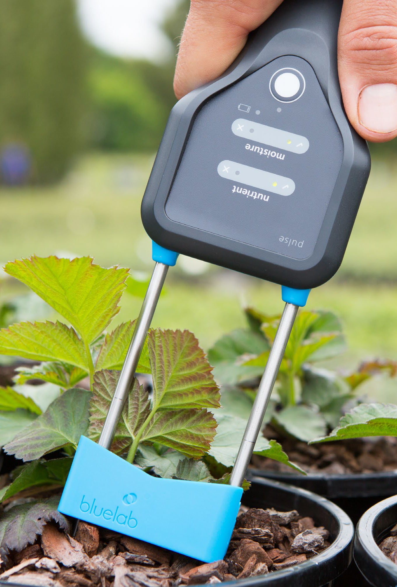 Coco moisture online meter