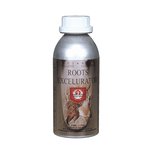 House & Garden Roots Excelurator Silver & Gold