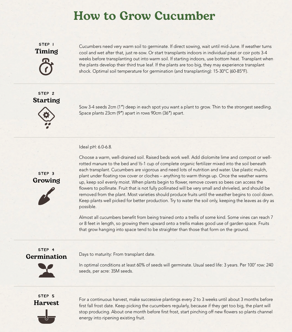 West Coast Seeds (Patio Snacker Cucumbers) Urban Grow Garden Supply