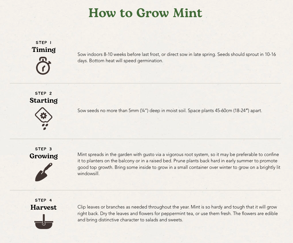 West Coast Seeds (Spearmint)