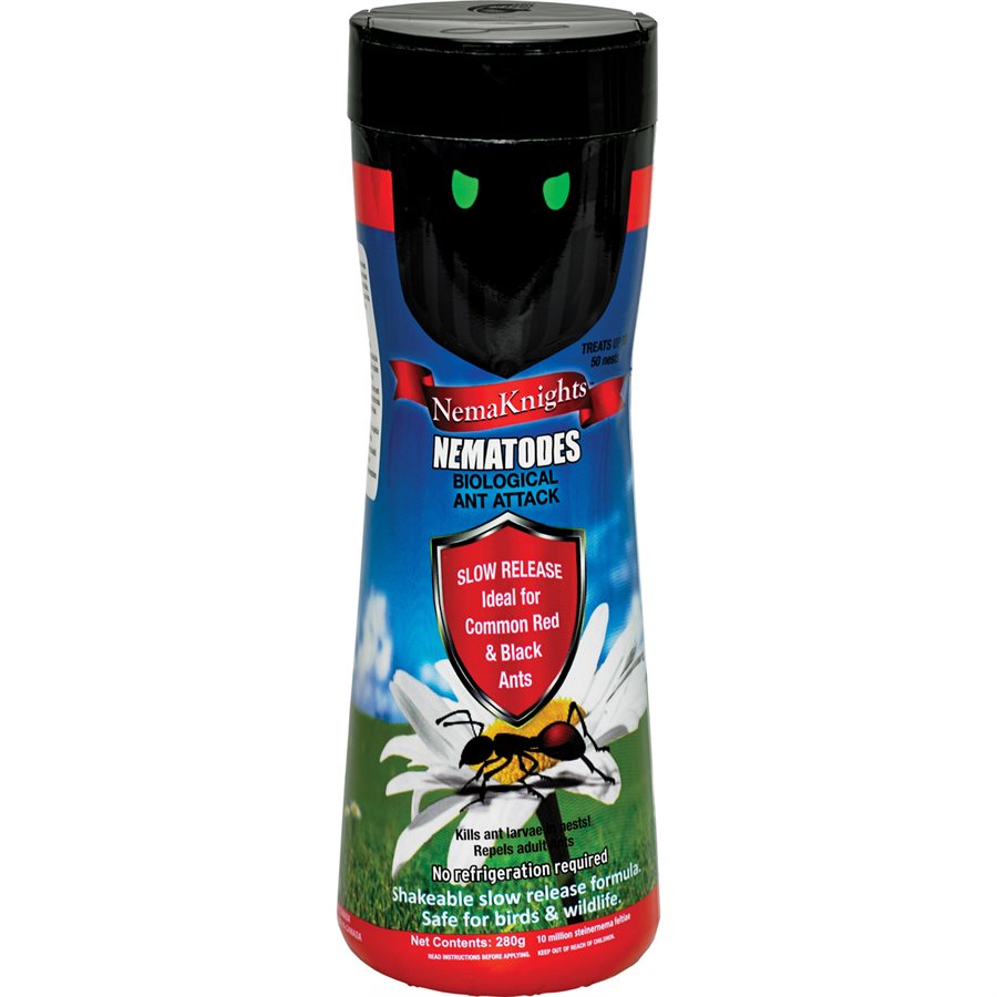 NemaKnights Contrôle des insectes, des fourmis et des moucherons contre les nématodes