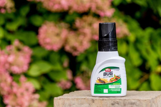 Scotts Ortho Bug B Gon ECO Insecticidal Soap - Disease / Pest Control