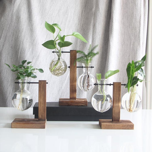 Vases de propagation en verre