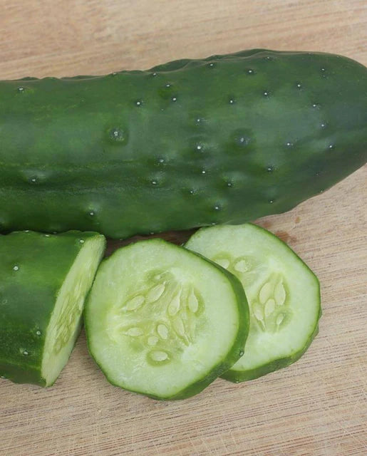 West Coast Seeds (Olympian Cucumbers)
