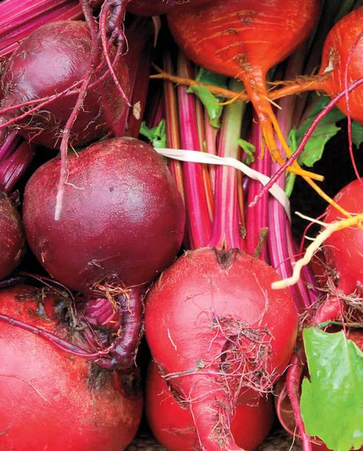 West Coast Seeds (Beet Blend)