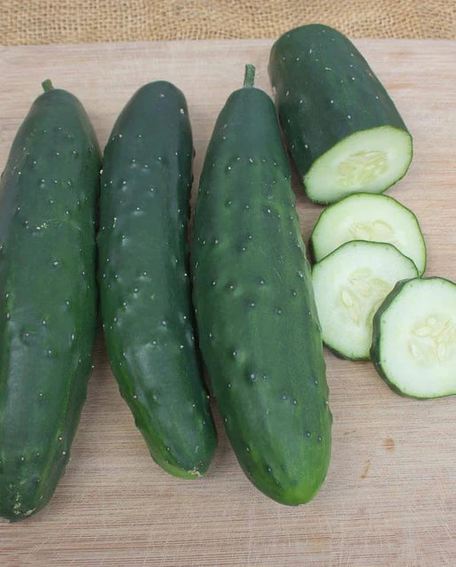 West Coast Seeds (Olympian Cucumbers)
